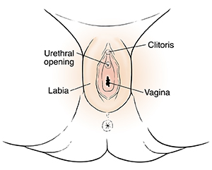 External genitals of female child.
